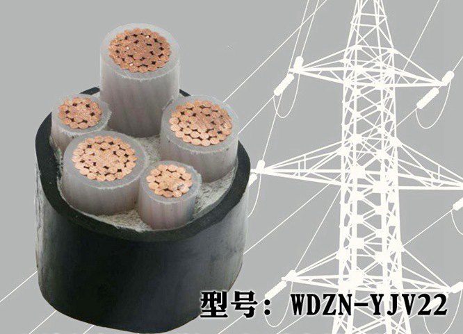 电力电缆